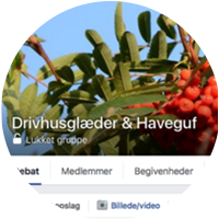 drivhusglaeder