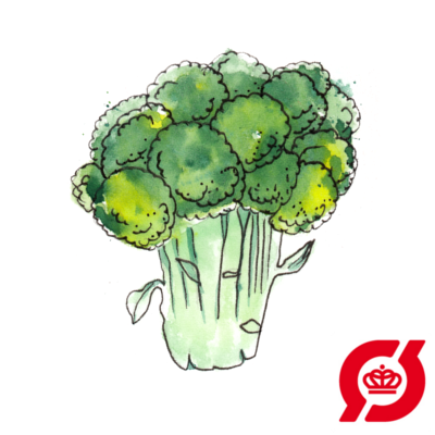 Billede af Broccoli - frø (øko)