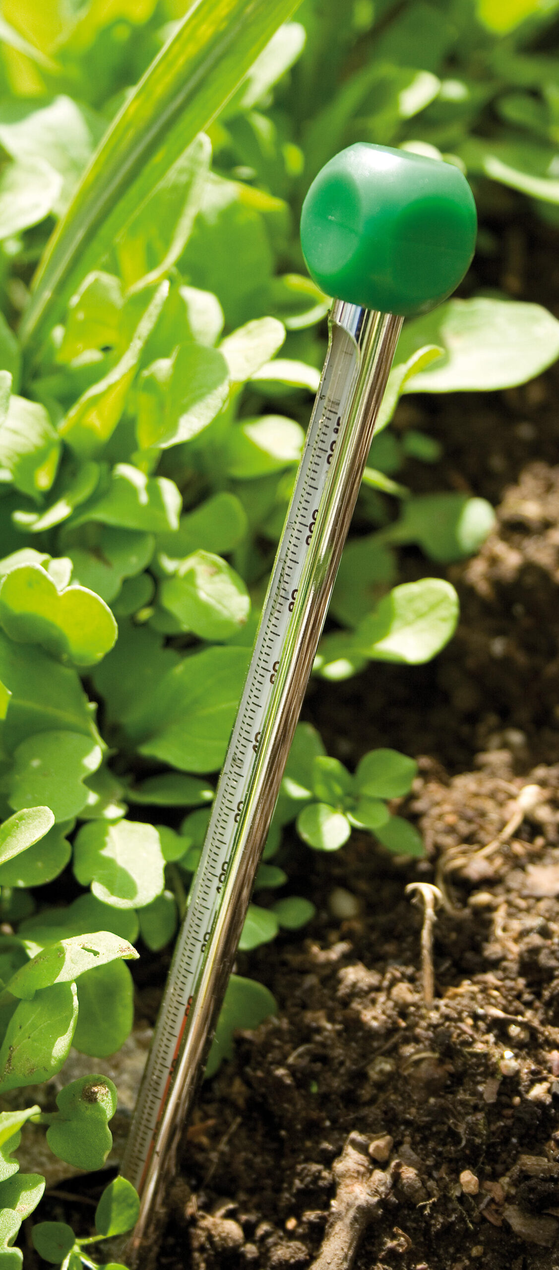 5796_soil_thermometer_image_2_1130701