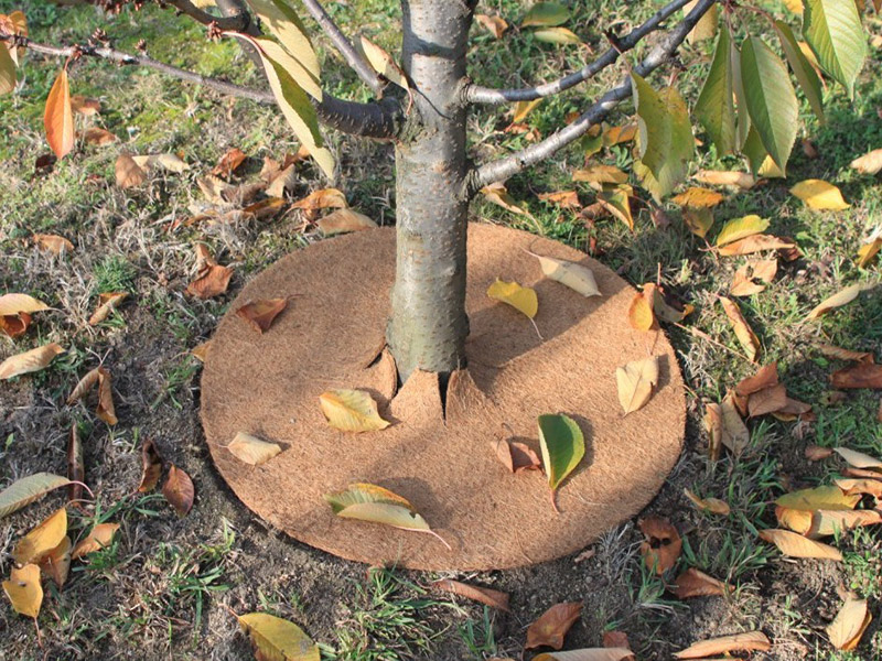 Billede af Ukrudtsmåtte 28cm