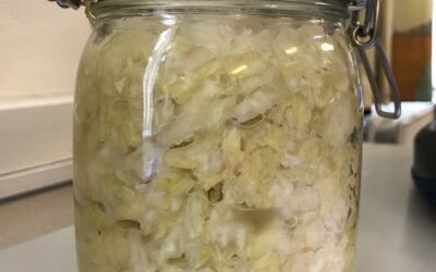 Fermentér din høst i patentglas – den komplette guide til fermentering